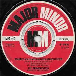 Download The Grumbleweeds - Goodbye