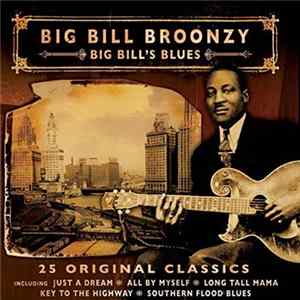 Download Big Bill Broonzy - Big Bill's Blues