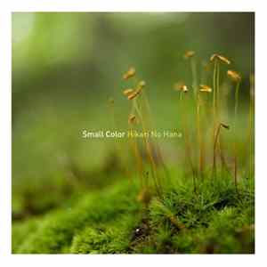 Download Small Color - Hikari No Hana