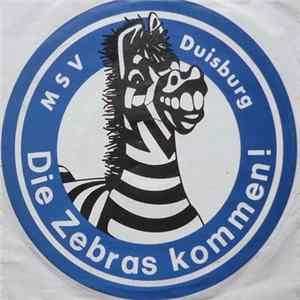 Download Die Fussball-Fans / Die Hans Blum Band - MSV Duisburg - Die Zebras Kommen!