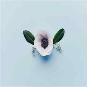 Download Sunsleeper - Stay The Same