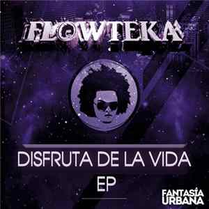 Download Flowteka - Disfruta De La Vida EP