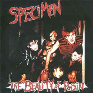 Download Specimen - The Beauty Of Poisin