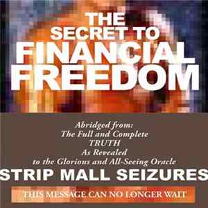Download Strip Mall Seizures - Secret To Financial Freedom