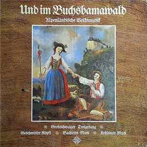 Download Großschwaiger Dreigesang / Geschwister Röpfl / Bachleitn-Musi / Kohlstatt-Musi - Und Im Buchsbamawald
