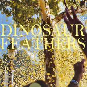 Download Dinosaur Feathers - Whistle Tips
