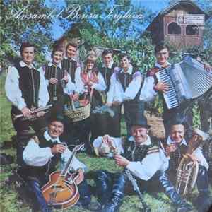 Download Ansambel Borisa Terglava - Ansambel Borisa Terglava