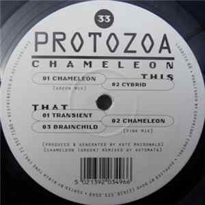 Download Protozoa - Chameleon