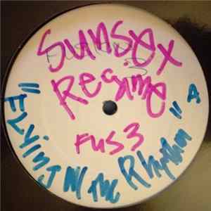 Download Sunset Regime - Flying With The Rhythm (Remix) / Cybertronic