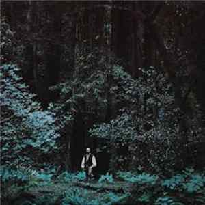 Download Paul Winter And The Winter Consort - Something In The Wind