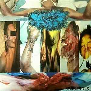 Download Ebola Pandemic - Stages 1-5