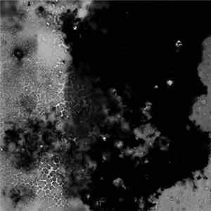 Download Slow Process - Under Hands