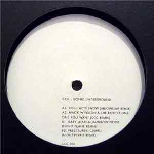 Download Various - Sonic Underground