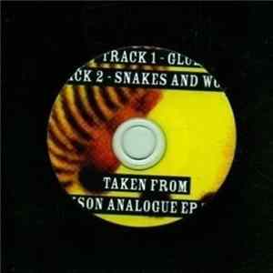 Download Jackson Analogue - Glue
