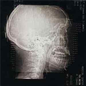 Download Cranium - Pragmatics