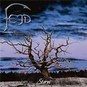 Download Fejd - Storm