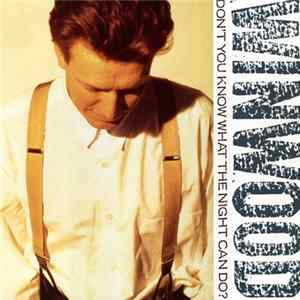 Download Steve Winwood - Don't You Know What The Night Can Do?