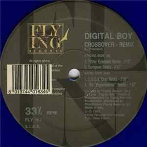 Download Digital Boy - Crossover (Remix)