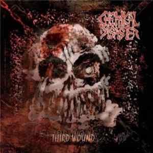 Download Chemical Disaster - Third Wound