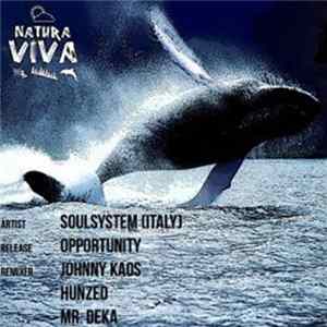 Download Soulsystem - Opportunity
