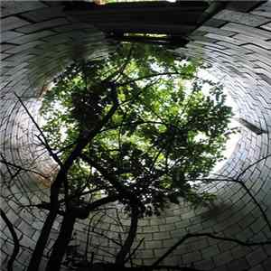 Download Iron Forest - Degenerate