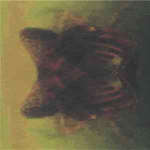Download The Haters / Screwtape - The Haters / Screwtape
