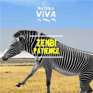 Download Zenbi - Patience