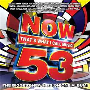 Download Various - Now That's What I Call Music! 53