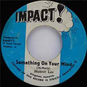 Download Hubert Lee - Something On Your Mind
