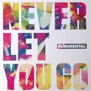 Download Rudimental - Never Let You Go
