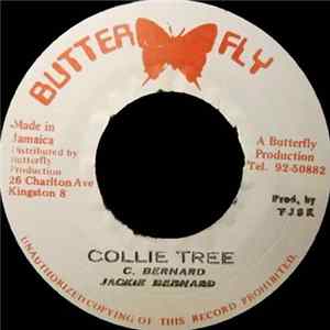 Download Jackie Bernard - Collie Tree