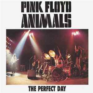 Download Pink Floyd - The Perfect Day