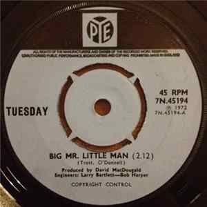 Download Tuesday - Big Mr. Little Man