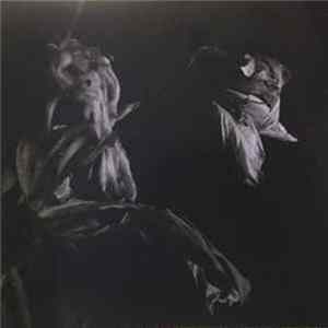 Download Cavernlight - As We Cup Our Hands And Drink From The Stream Of Our Ache
