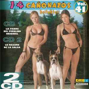 Download Various - 14 Cañonazos Bailables Vol. 41