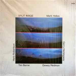 Download Mark Helias - Gerry Hemingway - Dewey Redman - Tim Berne - Herb Robertson - Split Image