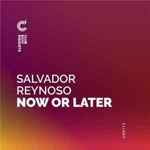 Download Salvador Reynoso - Now Or Later Ep