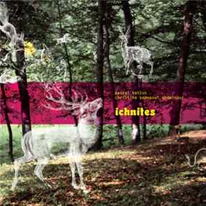 Download Pascal Battus - Christine Sehnaoui Abdelnour - Ichnites