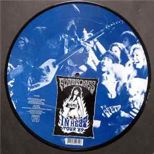 Download Fuzztones - Nine Months Later
