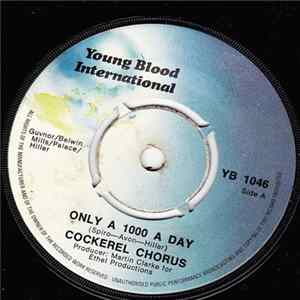 Download Cockerel Chorus - Only A 1000 A Day