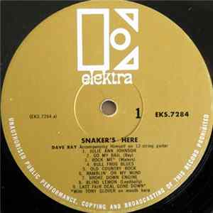 Download Dave Ray - Snaker's Here