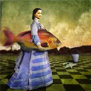 Download Shen Jo Ku Ji Bo - Everything Is OK In The Room 1407