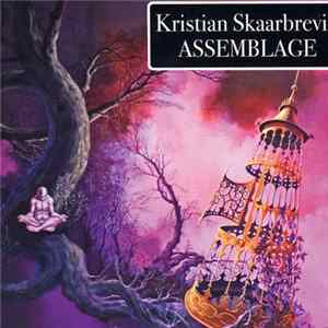 Download Kristian Skaarbrevik - Assemblage