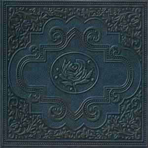 Download Ryan Adams & The Cardinals - Cold Roses