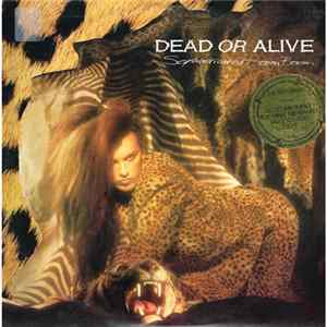 Download Dead Or Alive - Sophisticated Boom Boom