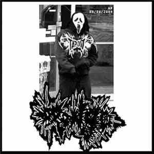 Download Drongo - Drongo