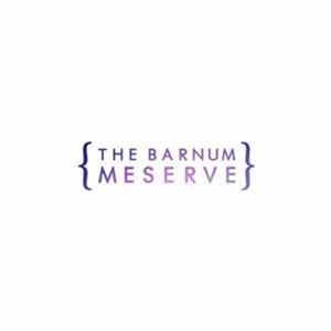 Download The Barnum Meserve - Broken Window EP
