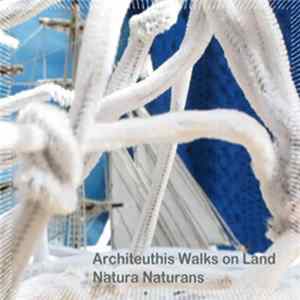 Download Architeuthis Walks On Land - Natura Naturans