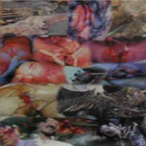 Download Various - Necromorbid Sickness Compilatory Tape Vol. 1