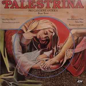 Download Palestrina - Pro Cantione Antiqua - Bruno Turner - Missa Papae Marcelli / Dominus Jesus In Qua Nocte / Alma Redemptoris Mater / Stabat Mater / Peccantem Me Quotidie